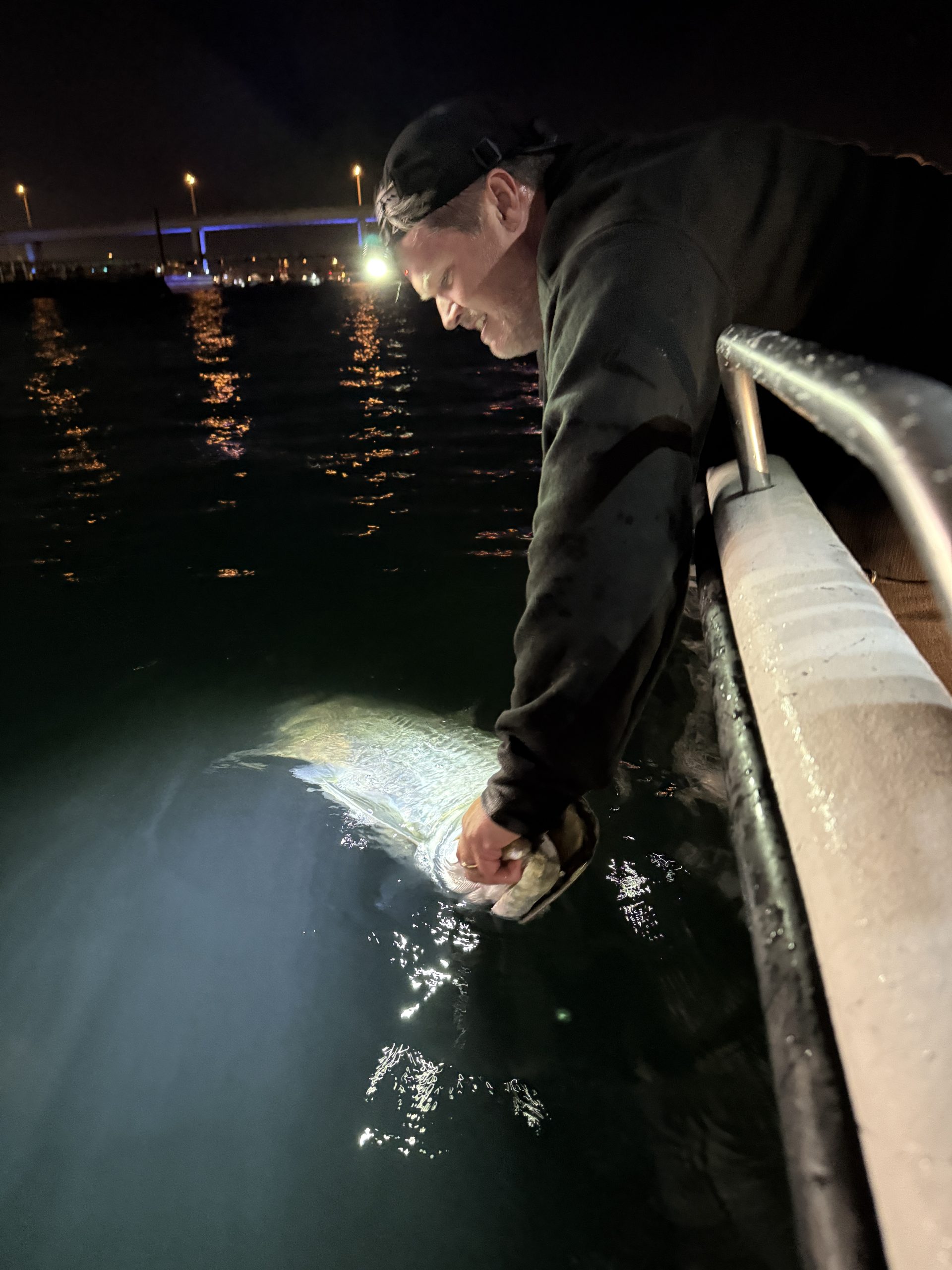 Tarpon fishing in Miami during the shrimp run