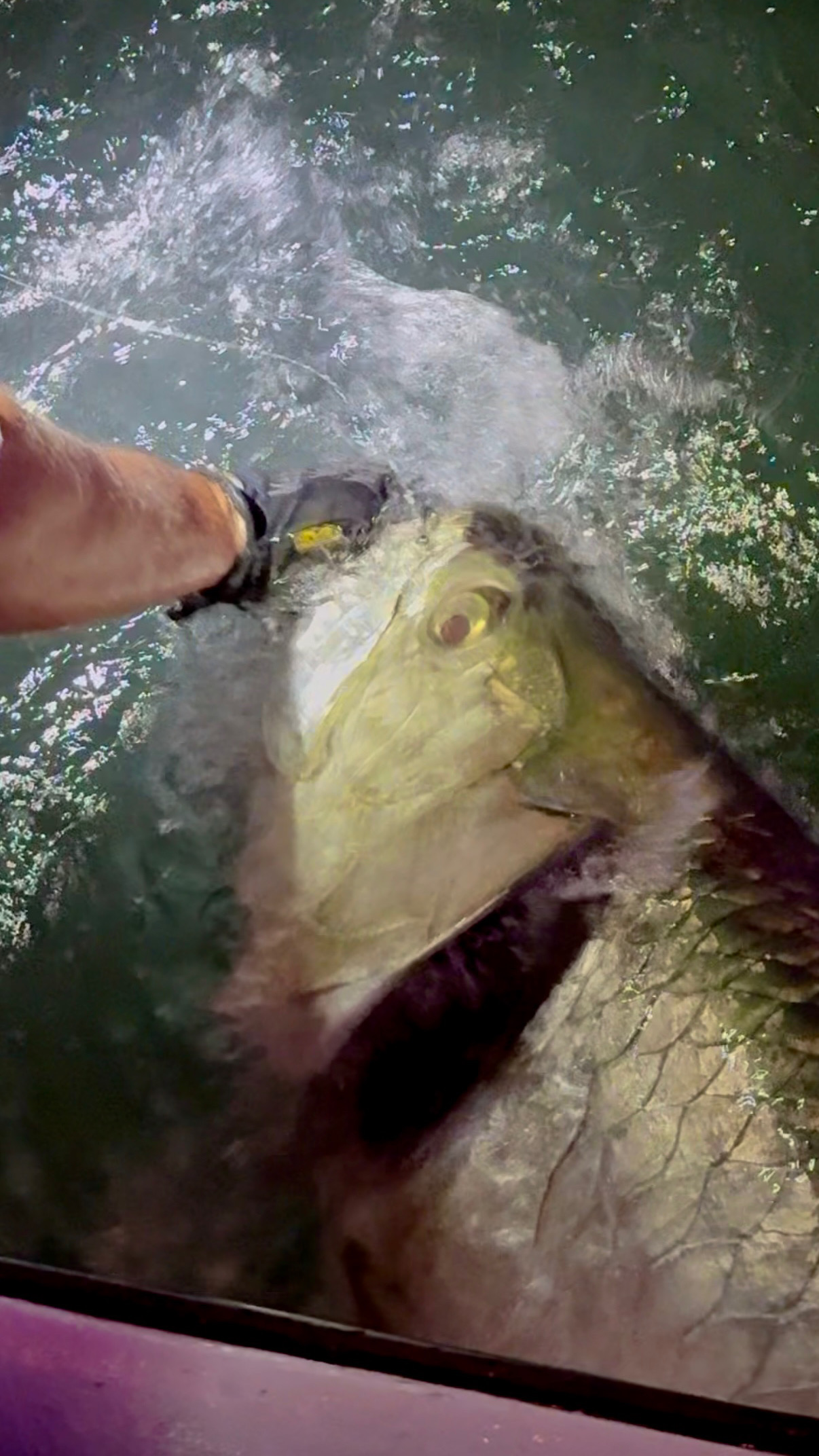 Fishing Charter Fort Lauderdale