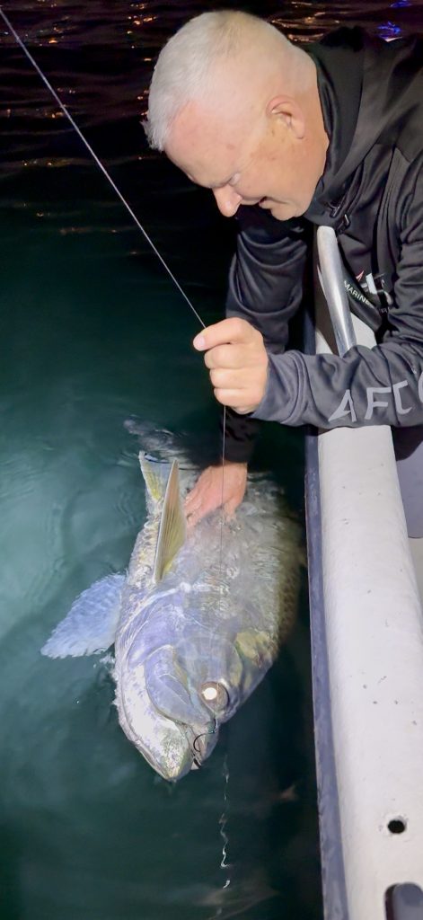 monster miami tarpon
